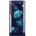 LG 190 L Direct Cool Single Door 5 Star Refrigerator with Base Drawer with Smart Inverter Compressor  (Blue Charm, GL-D201ABCZ)