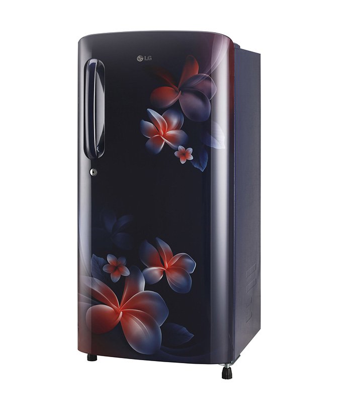 LG 190 L Direct Cool Single Door 3 Star Refrigerator  (Blue Plumeria, GL-B201ABPD) - Image 2